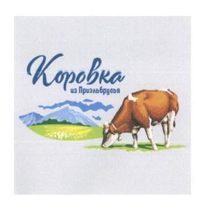 изображение из решения ППС