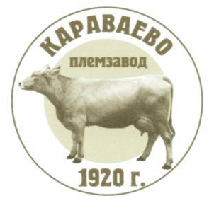 изображение из решения ППС