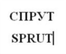 изображение из решения ППС