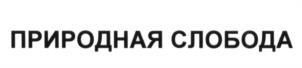 изображение из решения ППС