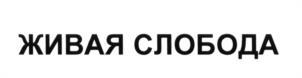 изображение из решения ППС