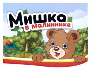 изображение из решения ППС