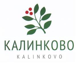 изображение из решения ППС