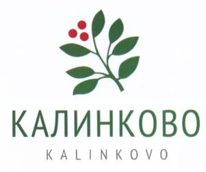изображение из решения ППС