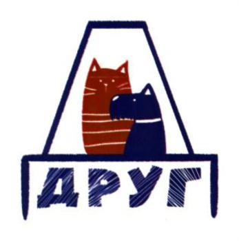 изображение из решения