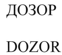 изображение из решения ППС