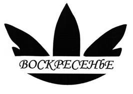 изображение из решения ППС
