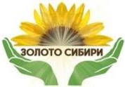 изображение из решения ППС