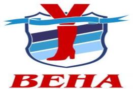 изображение из решения