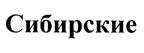 изображение из решения ППС