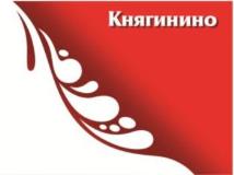 изображение из решения ППС