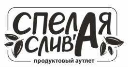 изображение из решения ППС