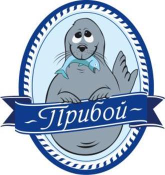 изображение из решения ППС