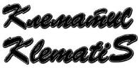 изображение из решения ППС