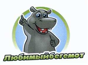 изображение из решения ППС