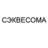 изображение из решения ППС