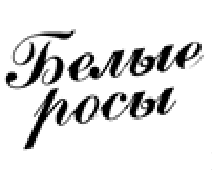 изображение из решения ППС