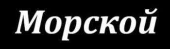 изображение из решения ППС