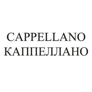изображение из решения ППС