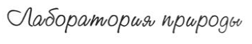 изображение из решения ППС
