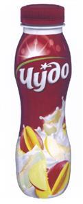 изображение из решения ППС
