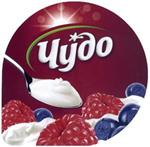 изображение из решения ППС