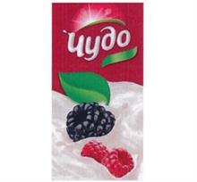 изображение из решения ППС