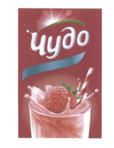 изображение из решения ППС