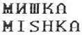 изображение из решения ППС