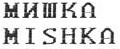 изображение из решения ППС