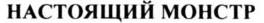 изображение из решения ППС
