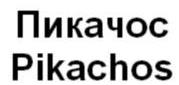 изображение из решения ППС