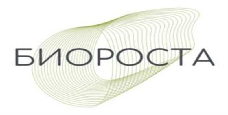 изображение из решения ППС