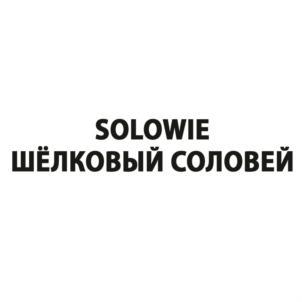 изображение из решения ППС
