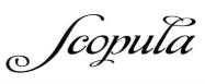 изображение из решения ППС