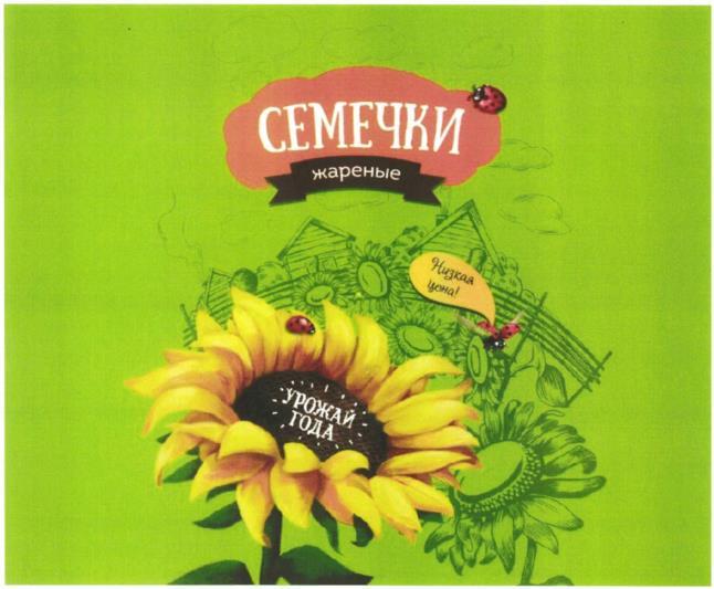 изображение из решения ППС