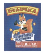 изображение из решения ППС