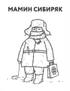 изображение из решения ППС