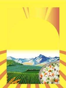 изображение из решения ППС