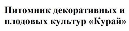 изображение из решения