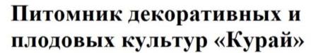 изображение из решения ППС
