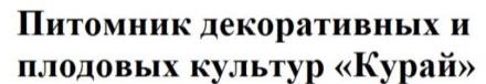 изображение из решения ППС