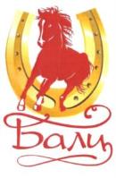 изображение из решения ППС