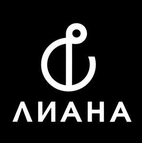 изображение из решения ППС