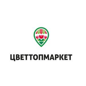 изображение из решения ППС