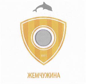 изображение из решения ППС
