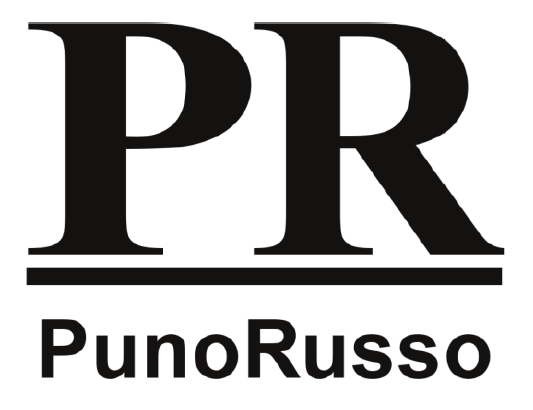 изображение из решения ППС