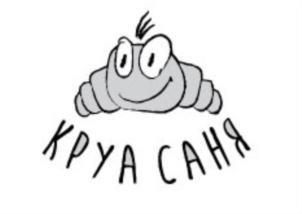 изображение из решения ППС