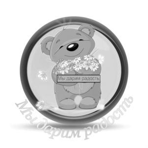 изображение из решения ППС