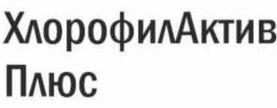изображение из решения